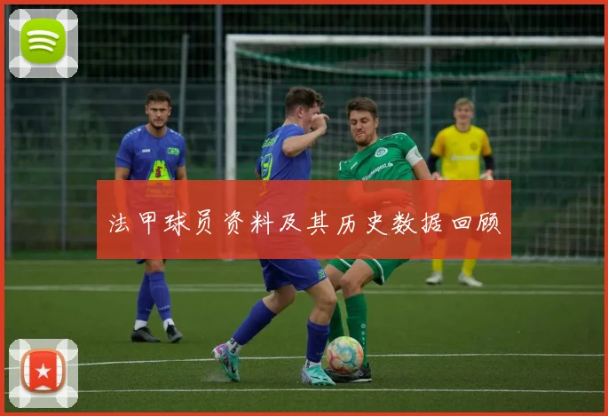 法甲球员资料及其历史数据回顾