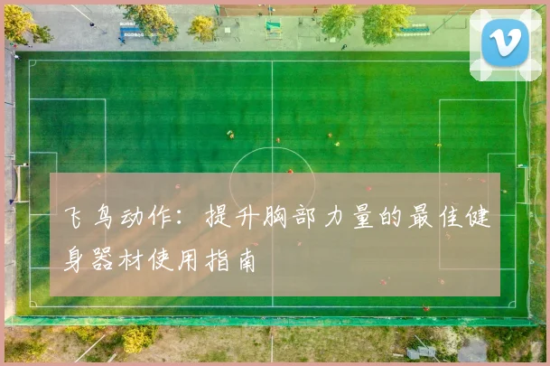 飞鸟动作：提升胸部力量的最佳健身器材使用指南