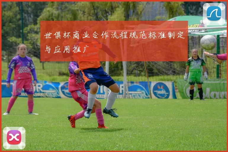 世俱杯商业合作流程规范标准制定与应用推广