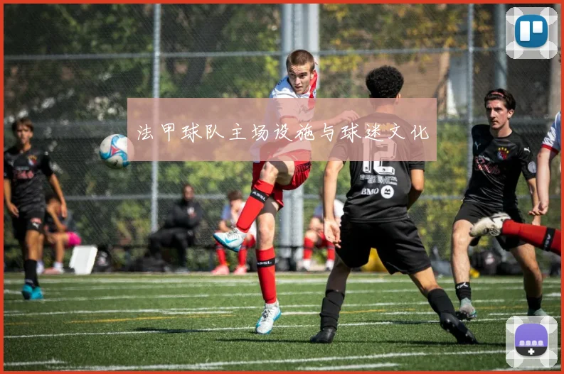 法甲球队主场设施与球迷文化