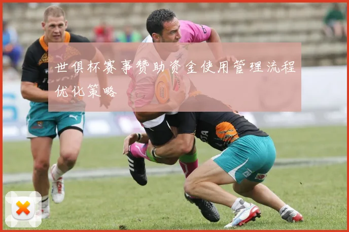 世俱杯赛事赞助资金使用管理流程优化策略