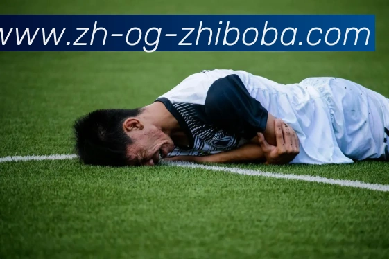 多媒体互动体验